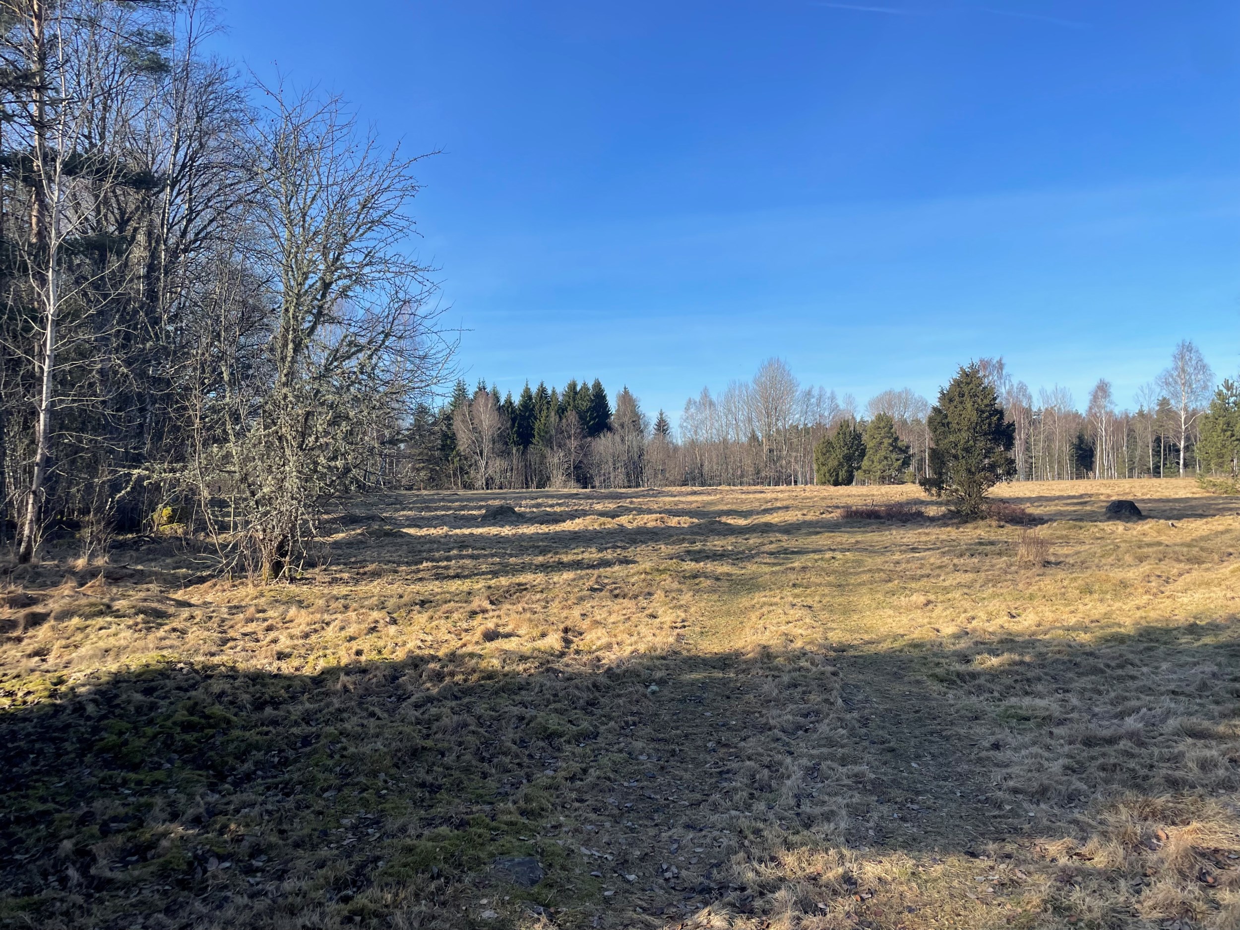 Åby Säteri 4 - Jordbruk Ljungby