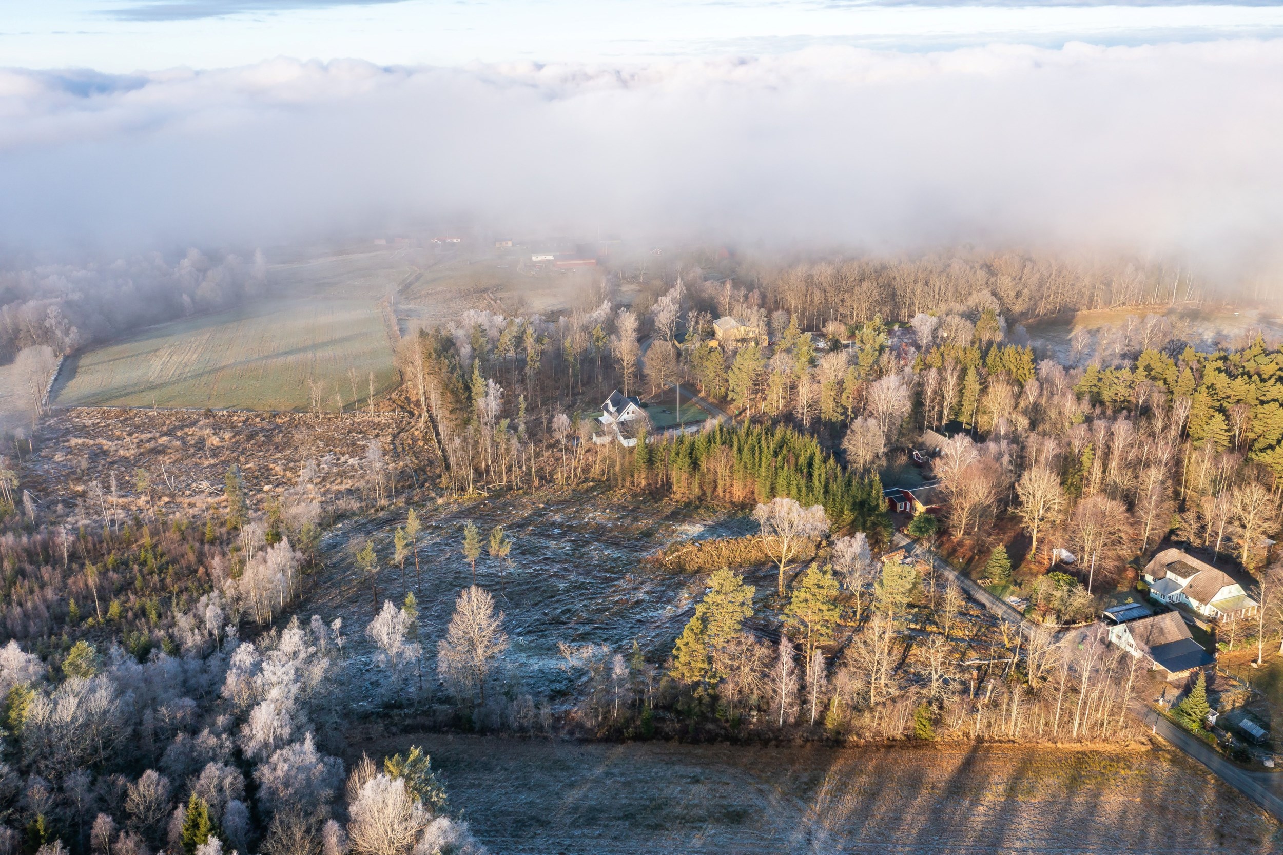 Mark i Tostared - Tomt Mark