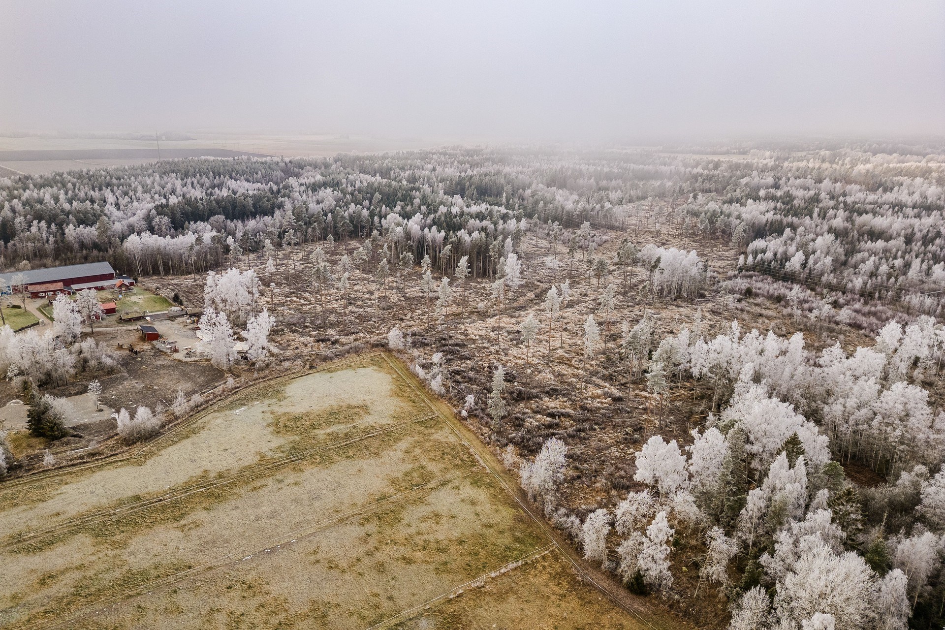 Jung - Tomt Enköping