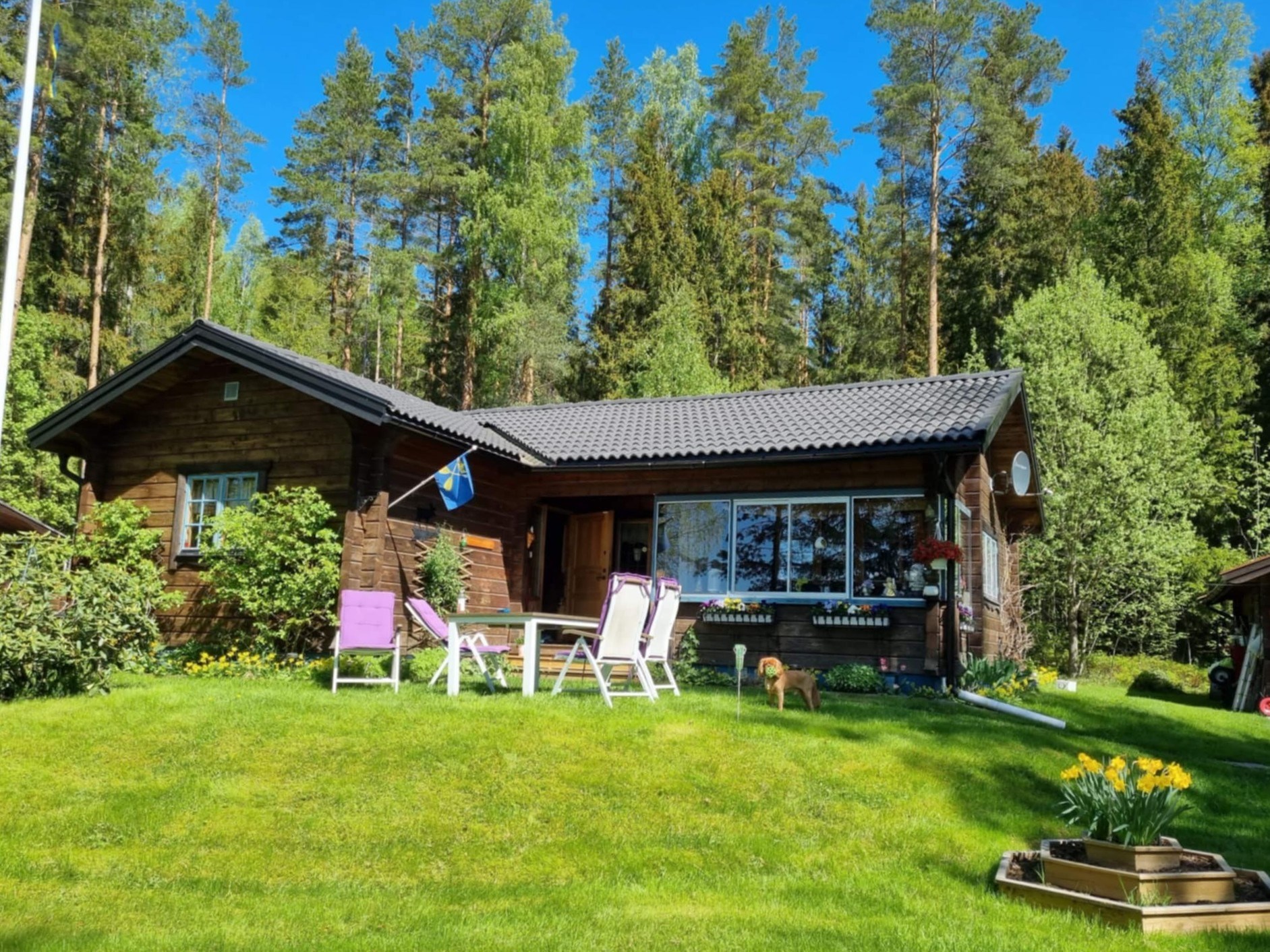 Davidshyttan 271 - Fritidshus Hedemora